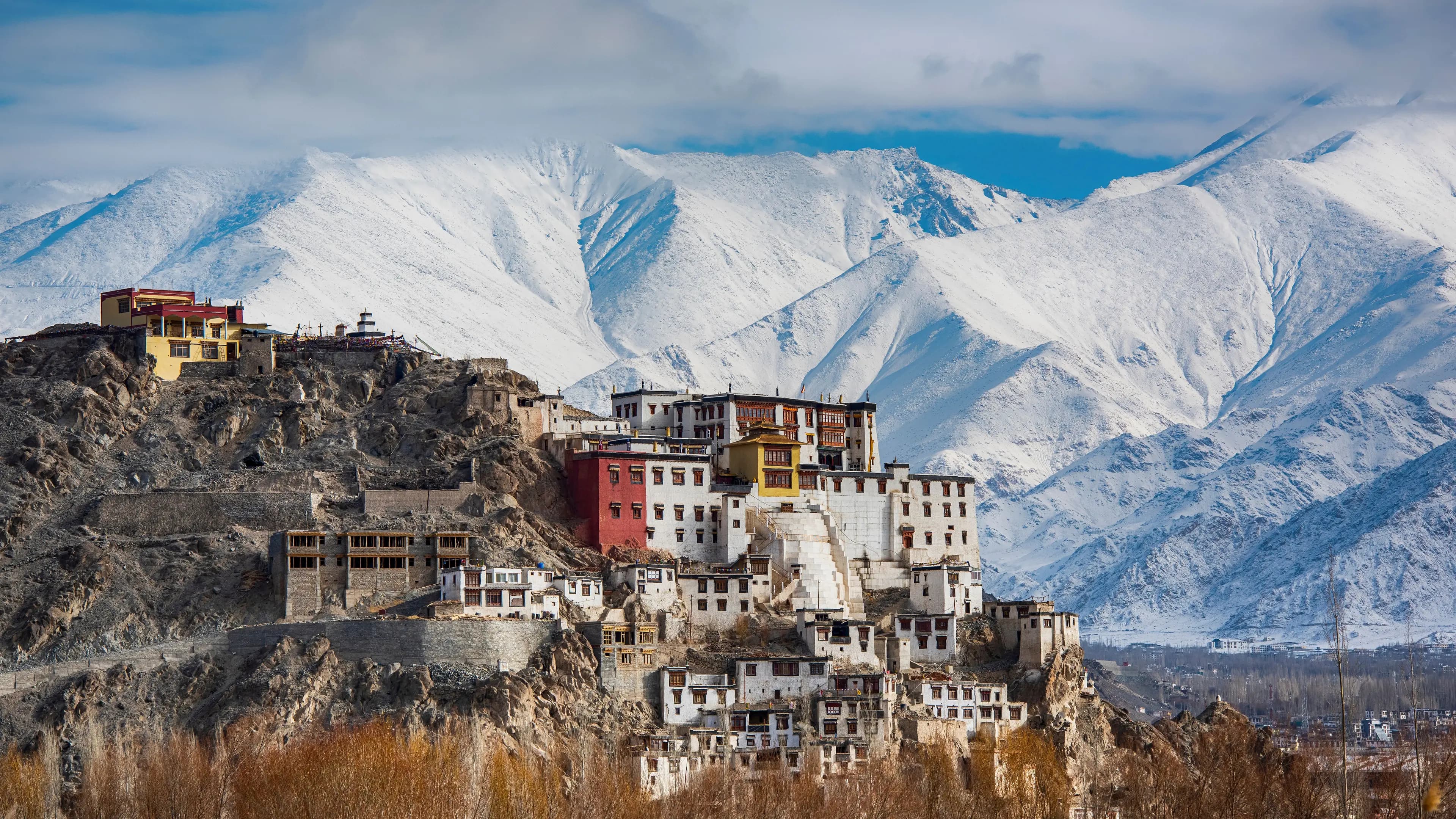 Hills, Homestays & Himalayan Bonds – A Family Ladakh Experience