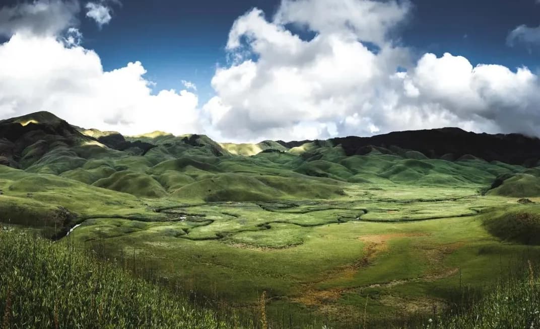 Dzukou Valley trek