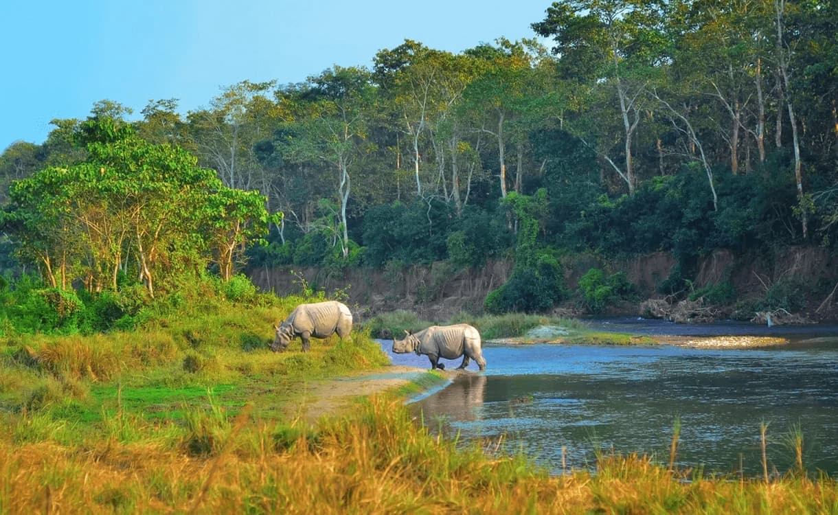  The Wild Side of Nepal