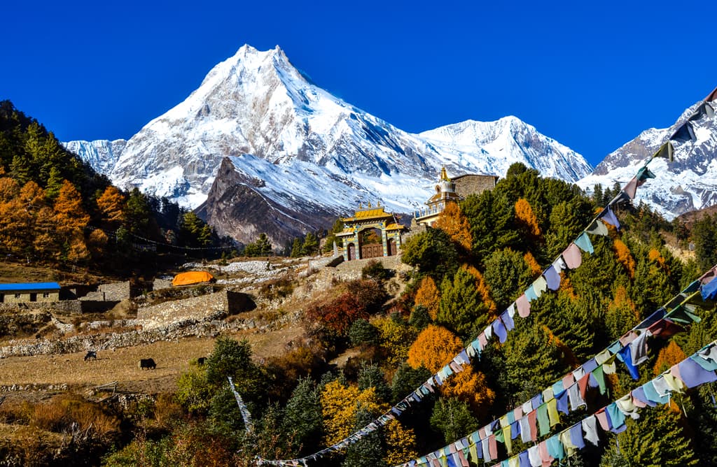 Mountains, Markets & Momos – A Nepal Trail for the Young at Heart