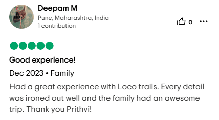 Traveler review
